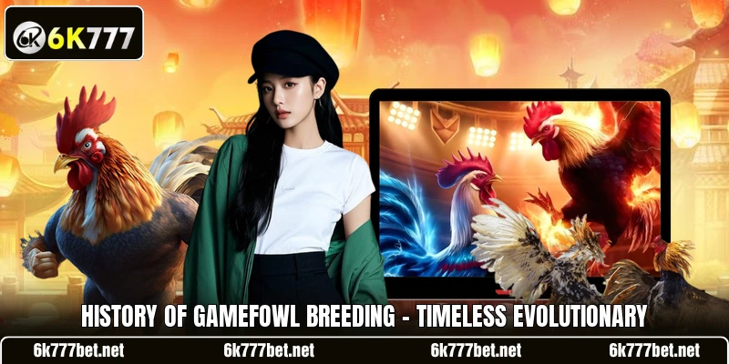 History Of Gamefowl Breeding - Timeless Evolutionary History Of Gamefowl Breeding - Timeless Evolutionary